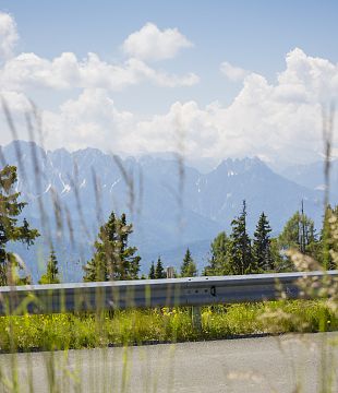 Naturpark-Bus Sommer